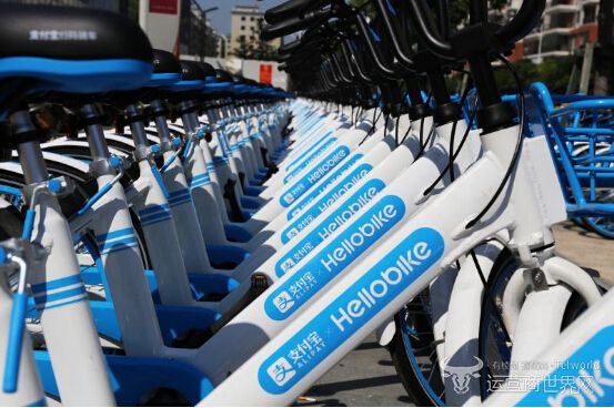 哈罗单车.jpg